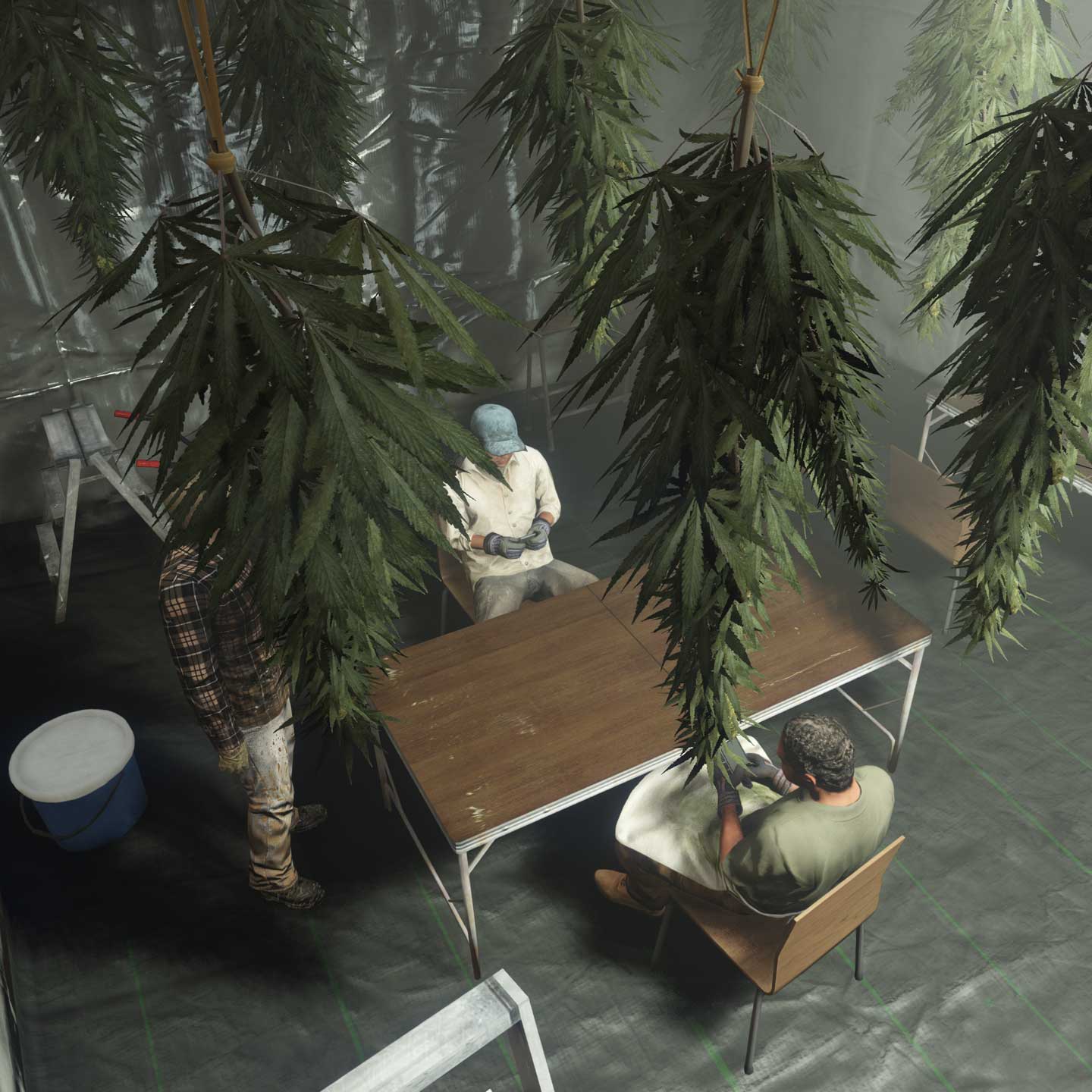 Produkcja marihuany w GTA Online